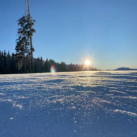 Appartementhaus Hochkoenig - Panoramablick 公寓 Mühlbach am Hochkönig