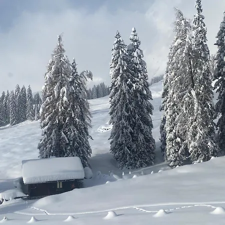Appartementhaus Hochkoenig - Panoramablick