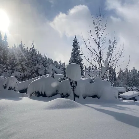 Appartementhaus Hochkoenig - Panoramablick Muhlbach Am Hochkonig
