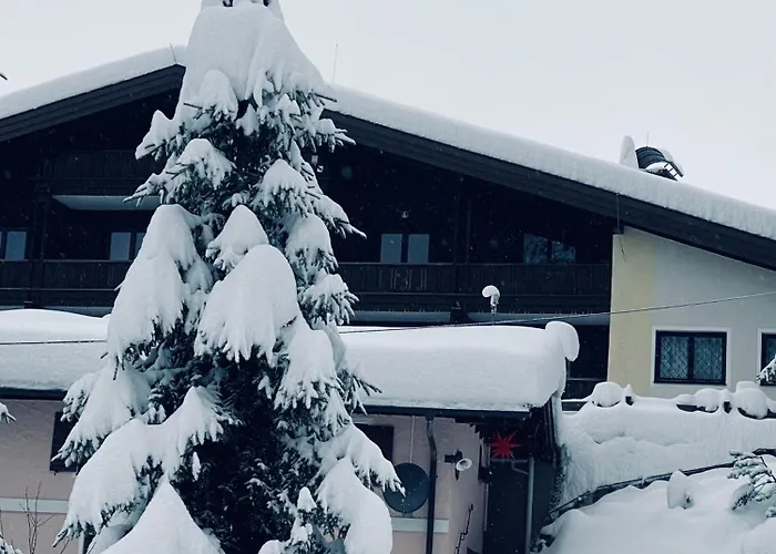 Appartementhaus Hochkoenig - Panoramablick *