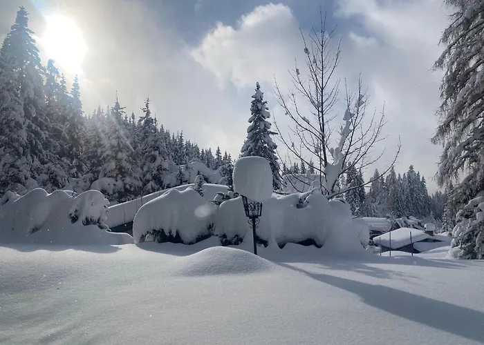 Appartementhaus Hochkönig - Panoramablick Mühlbach am Hochkönig
